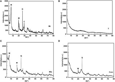 Comparison of the Phase Transition and Degradation of Methylene Blue of TiO2, TiO2/Montmorillonite Mixture and TiO2/Montmorillonite Composite